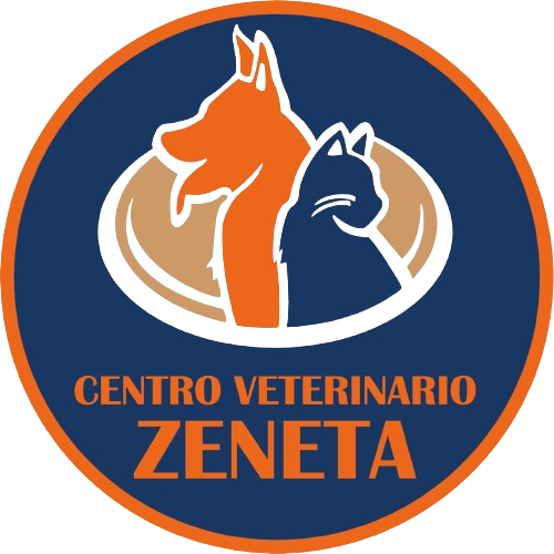 veterinariozeneta-galeria-logosinfondo